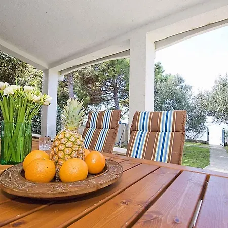 Holiday In Privlaka - Zadar Riviera 41332 Prázdninový dům *